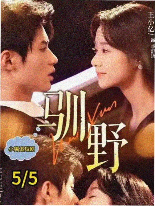 我的大叔 韩剧在线观看